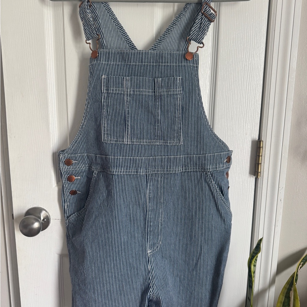 Universal Thread Blue Striped Short Overalls